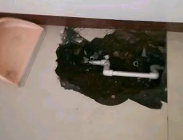 九原卫生间测漏水多少钱